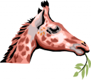 Giraffe Clipart