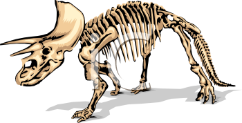 Fossil Clipart