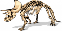 Fossil Clipart