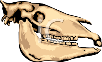 Fossil Clipart