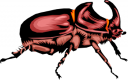 Bug Clipart