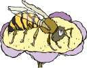 Bug Clipart