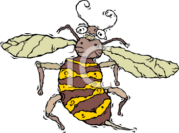 Bug Clipart