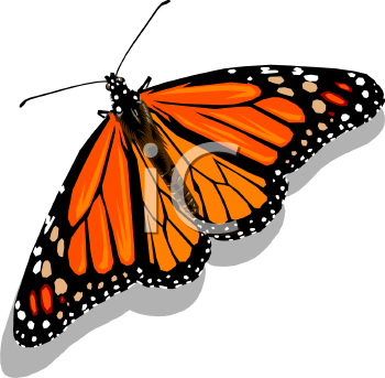 Bug Clipart