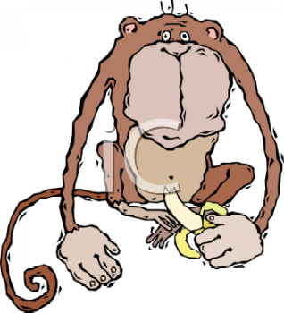 Chimpanzee Clipart