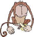 Chimpanzee Clipart