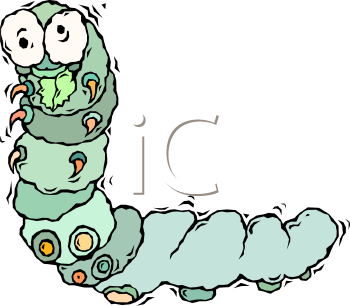 Bug Clipart