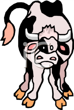 Cow Clipart