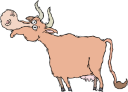 Mammal Clipart