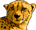 Cheetah Clipart