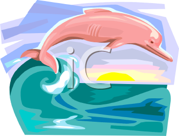 Dolphin Clipart
