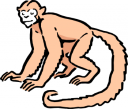 Chimpanzee Clipart