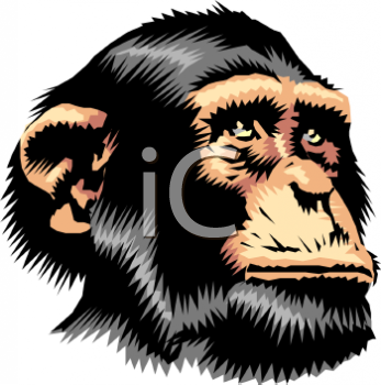 Chimpanzee Clipart
