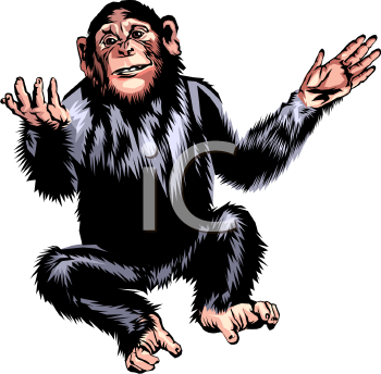 Chimpanzee Clipart