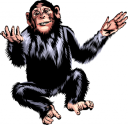 Chimpanzee Clipart