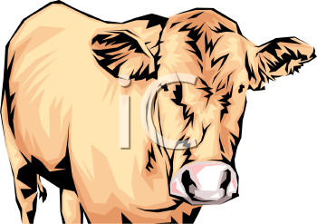 Cow Clipart