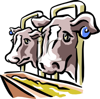 Cow Clipart