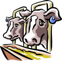 Cow Clipart