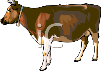 Cow Clipart