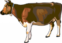 Cow Clipart