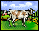 Cow Clipart