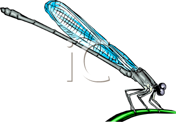 Bug Clipart