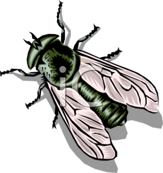 Bug Clipart