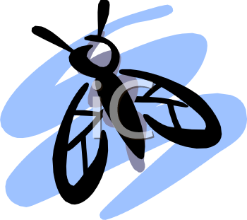 Horse Clipart