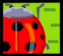 Bug Clipart