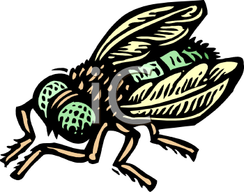 Bug Clipart