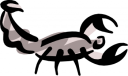 Bug Clipart