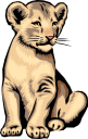 Mammal Clipart