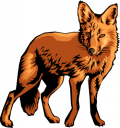 Mammal Clipart