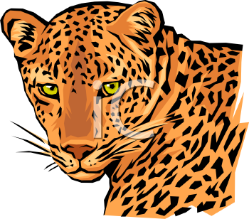 Cat Clipart