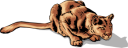 Cat Clipart