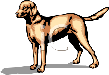 Dog Clipart