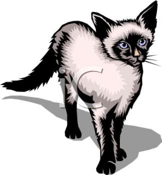 Mammal Clipart