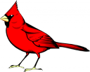 Cardinals Clipart
