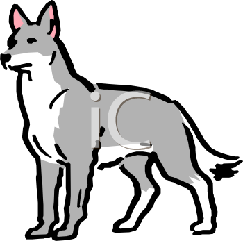 Coyote Clipart