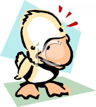 Duck Clipart