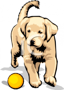 Mammal Clipart