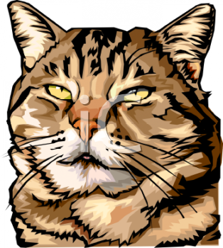 Cat Clipart
