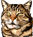 Cat Clipart