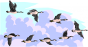 Geese Clipart