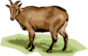 Elk Clipart