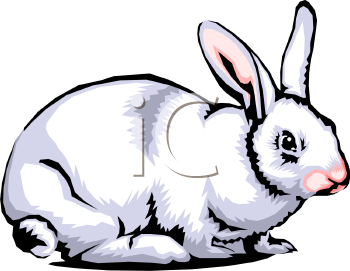 Mammal Clipart