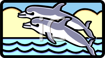 Dolphin Clipart