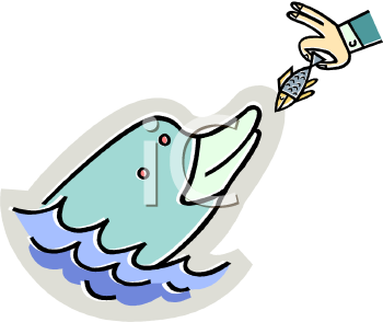 Dolphin Clipart