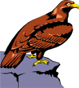 Eagle Clipart