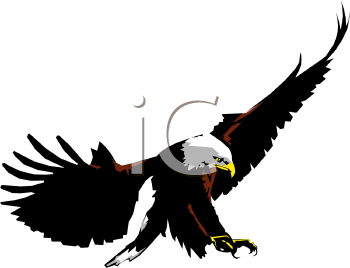 Eagle Clipart